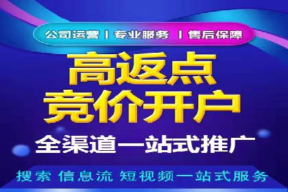 案例分享：百度竞价广告投放策略与效果